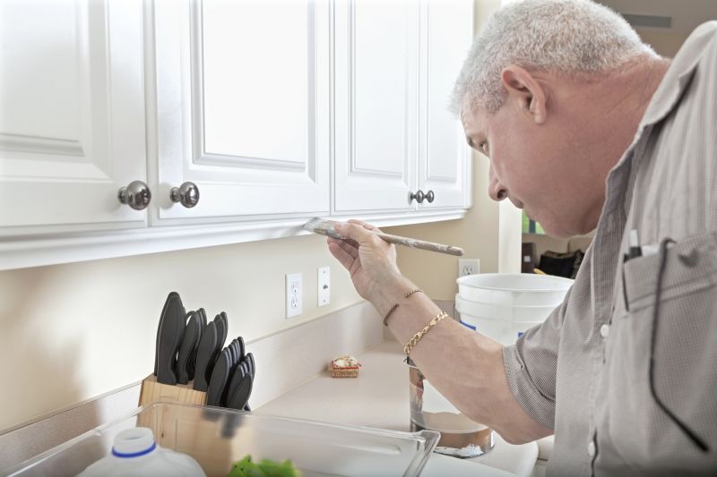 Best Cabinet Refinishing Contractors in Princeton, TX